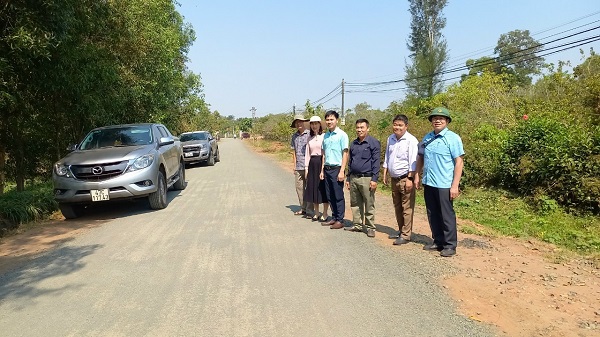 ANH TET 25